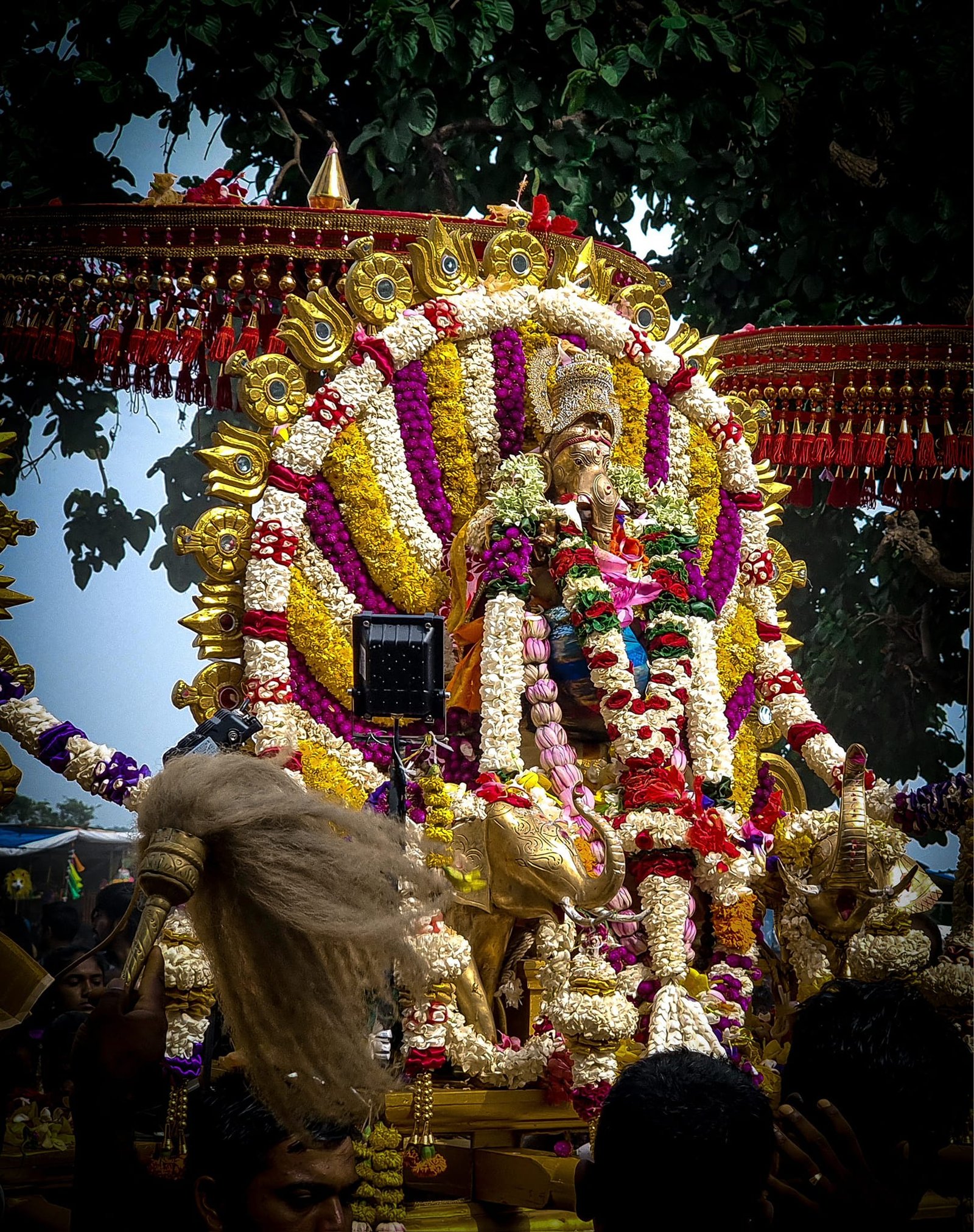 hero-img-02 487510565 10222693015594588 7115560683504390375 N